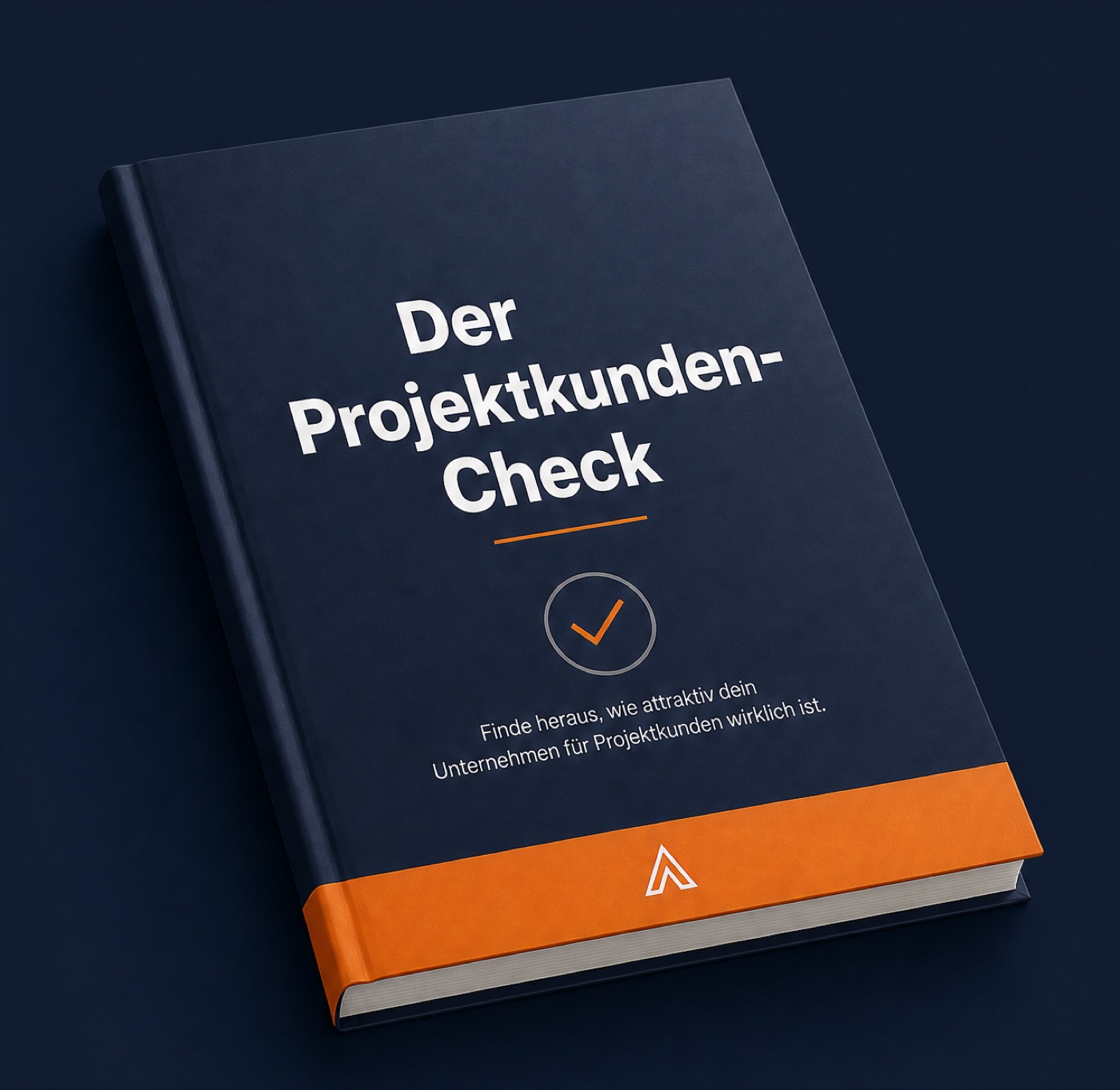 Booklet „Der Projektkunden-Check“ von Alex Tauer Consulting